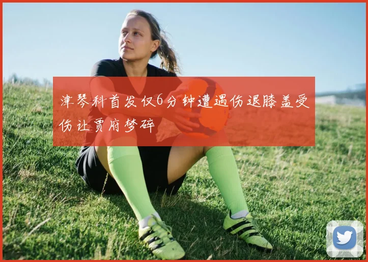 津琴科首发仅6分钟遭遇伤退膝盖受伤让贾府梦碎
