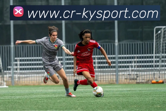 开云足球APP 封面图